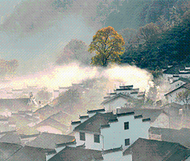 黃山市政務新媒體集約化云平臺